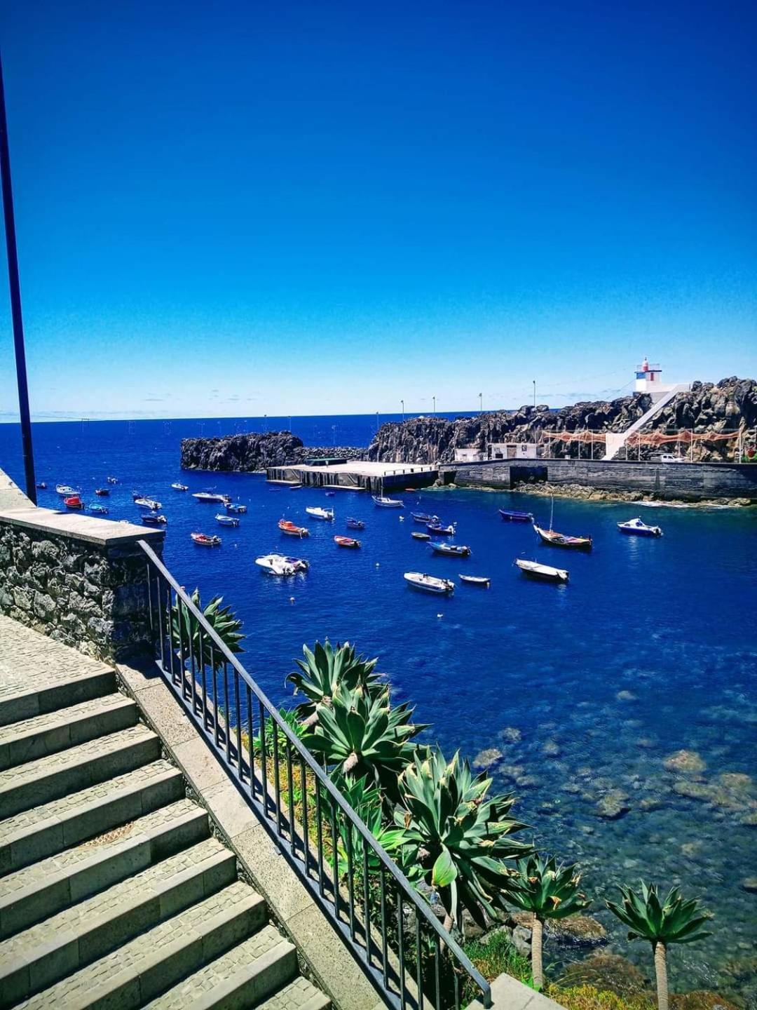 Cantinho Da Te Câmara de Lobos Eksteriør billede